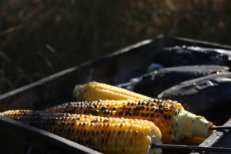 Corn on the cob grilled side